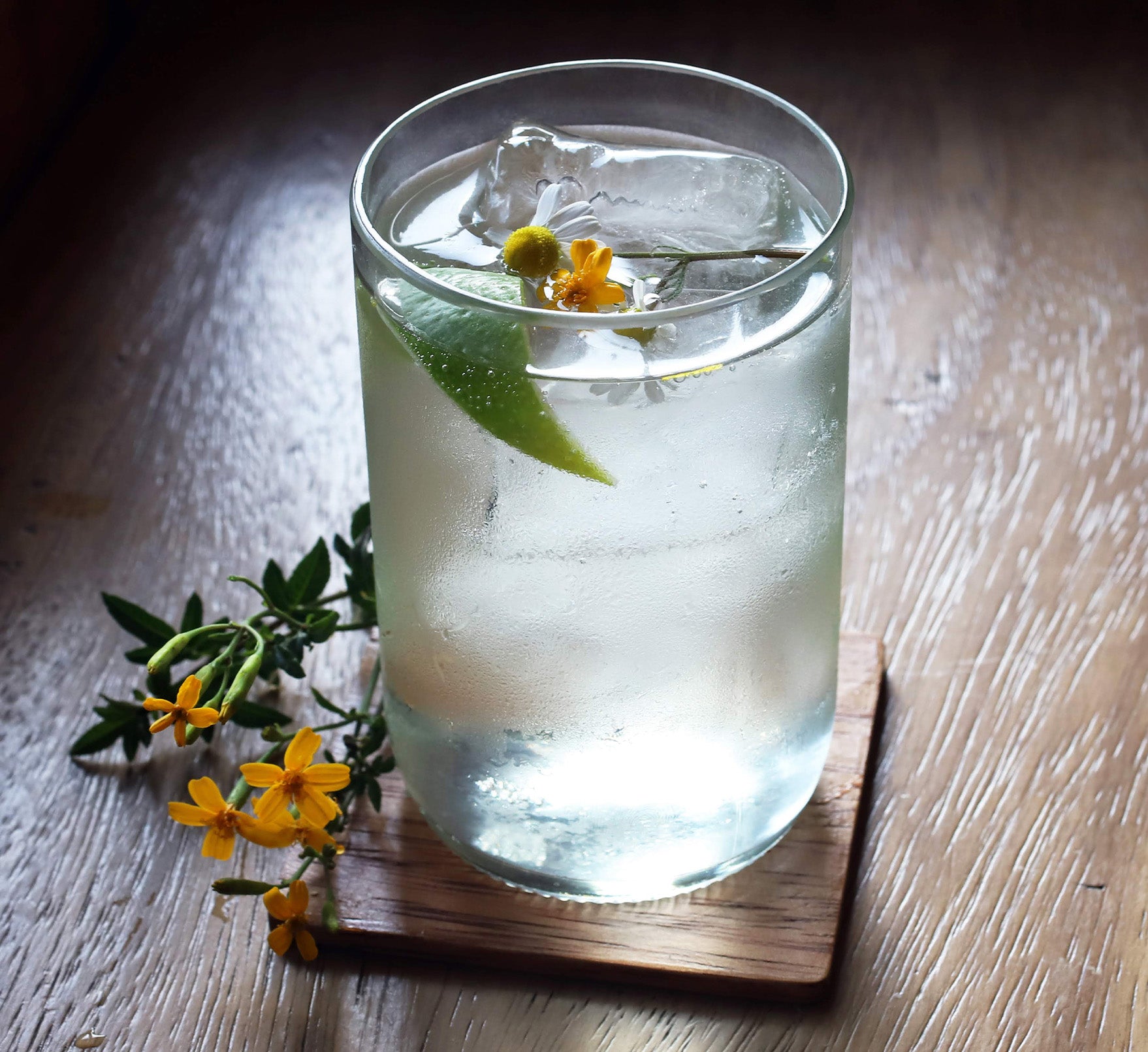 Cana_Tonic.jpg__PID:4fa642ba-568f-4728-ba96-02f5c10c3bda